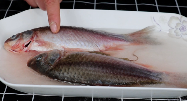 鱼肉保鲜技巧，鱼肉储存方法（不管解冻什么鱼）