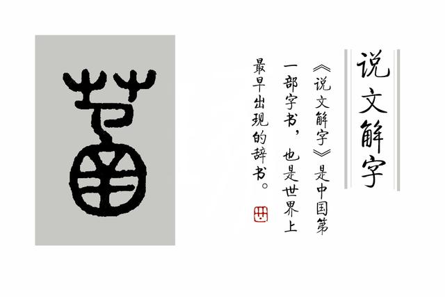 《说文解字》第69课：荷、莲、茄、芙蕖、芙蓉、菡萏是一种东西吗