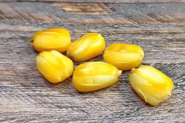 皖鱼和草鱼的区别，中山脆皖鱼和草鱼的区别（难怪钓草鱼总是空手而归）