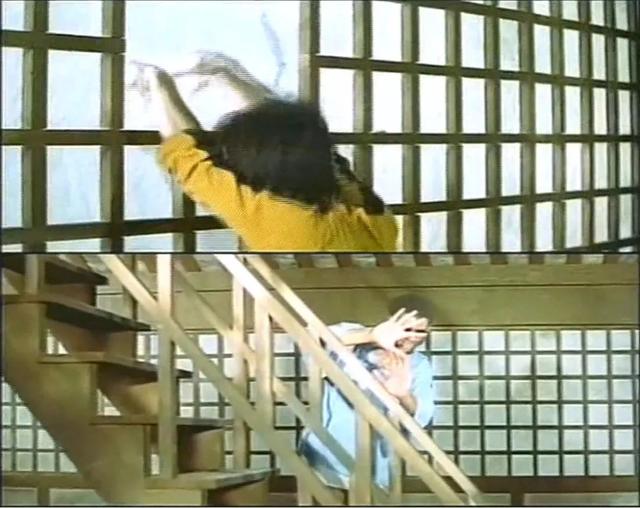 梦见螳螂什么寓意，梦见螳螂什么寓意呢（为什么李小龙的妻子在李小龙去世后）