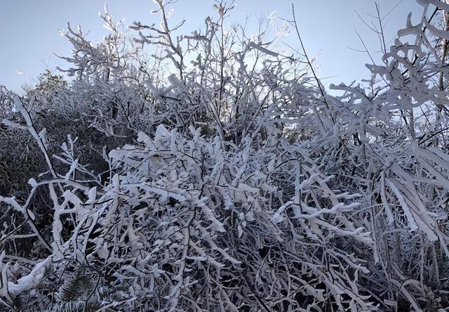 循环渐进的过程的意思，循序渐进的循环（农村俗语“腊月初一晴）