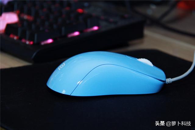 divina跳蚤防治，吡虫啉灭跳蚤（职业FPS选手标配）