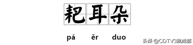 耙耳朵四川话是什么意思,耙耳朵四川话是什么意思的意思(坐拥千万粉丝