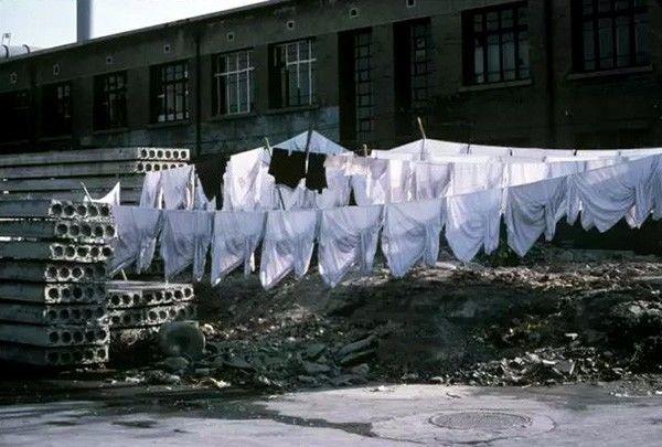 1981年属鸡人永远最旺的数字，1981年属鸡的幸运数字和颜色（时光记忆：1981年的中国）