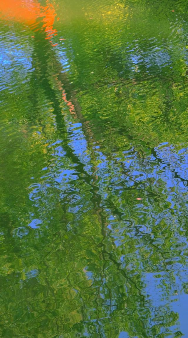 好看壁纸，好看壁纸ins（好看又温柔的壁纸<212>图片）