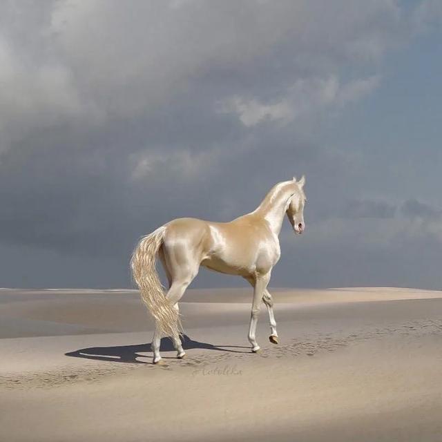 微信壁纸图片大全，微信背景图片（微信朋友圈背景图<60张>）