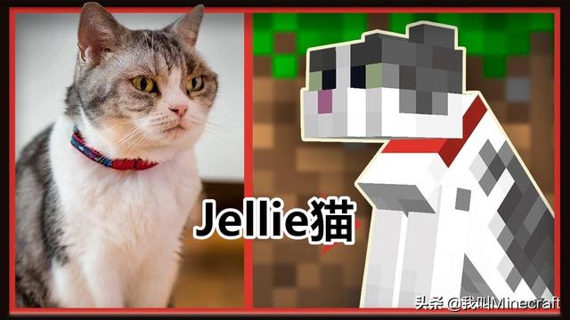 我的世界豹猫怎么驯服，我的世界里怎么驯服豹猫（关于猫的10个“冷”知识）