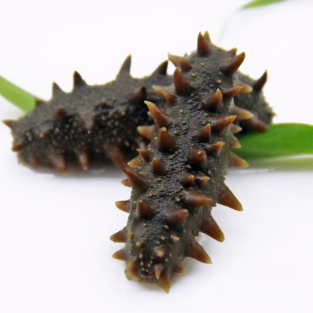 海参的吃法与禁忌，吃海参的禁忌（吃海参的禁忌）