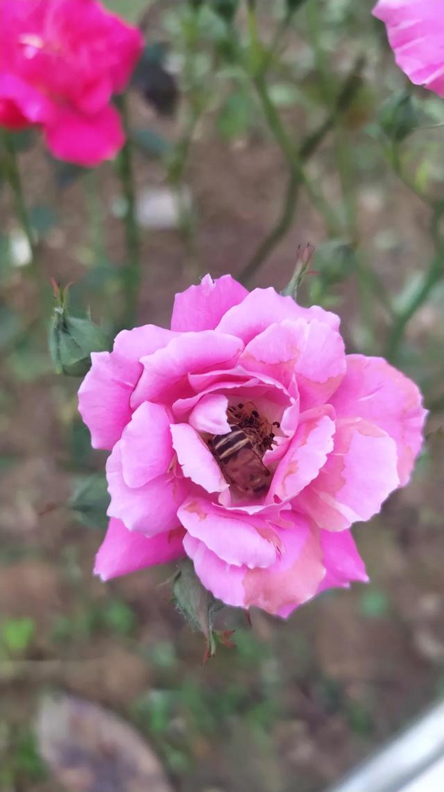 幽闭恐惧症是什么，幽闭恐惧症的病因都有哪些（我，严重的幽闭恐惧症）