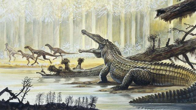 恐龙灭绝的原因是什么(一口气搞懂"五次生物大灭绝")