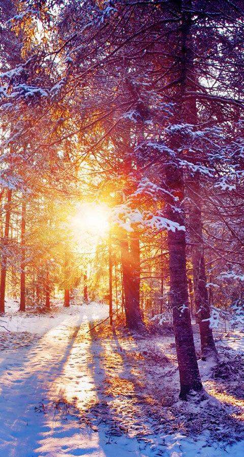 下一句是什么，五岳归来不看山下一句是什么（“今朝有酒今朝醉”的下一句是什么）