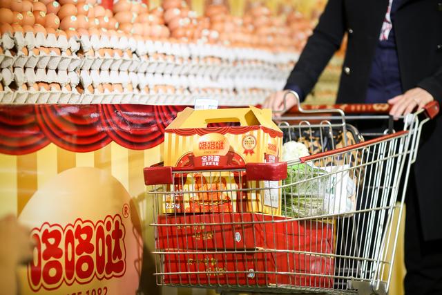 韩伟集团的概述，韩伟集团（37年专注“咯咯哒”铸就民族品牌脊梁）