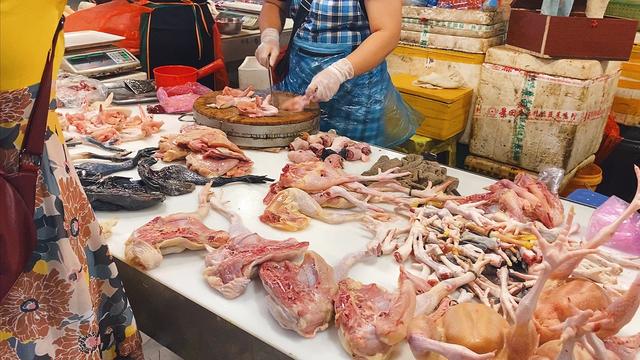 鸡胗是装鸡屎的部位吗，鸡胗是鸡的什么部位（鸡胗在鸡哪个部位）
