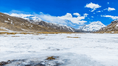 存在千年 罕见的西藏一妻多夫制探秘，存在千年人参吗（一女嫁四男是怎样的一种体验）