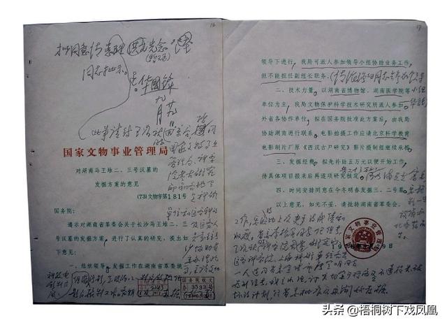 马王堆汉墓古尸，马王堆汉墓女尸刚出土（长沙马王堆女尸“全面体检”）