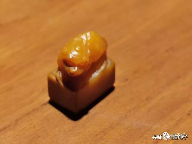 科头跣足是什么动物，科头跣足指什么动物（浅谈“刘海”与“金蟾”）