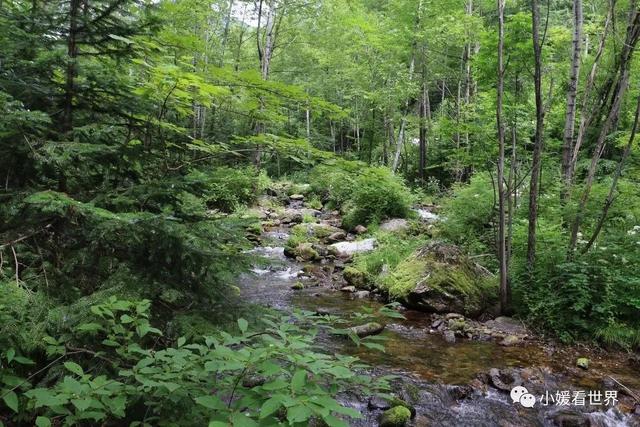 牡丹江有什么好玩的地方，敦化有什么好玩的地方（牡丹江柴河小九寨）