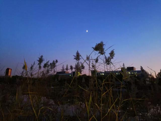 沈阳城市建设学院是几本，沈阳城市建设学院是几本大学（<十一>沈阳城市建设学院）