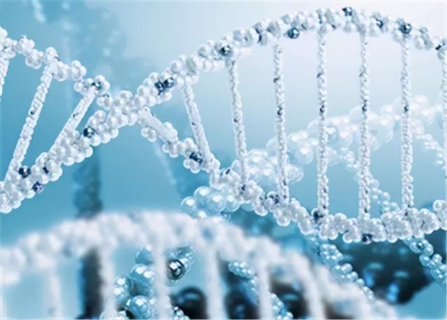 寡肽是什么，14种呱太获得攻略介绍（有效祛痘修护还是智商税呢）