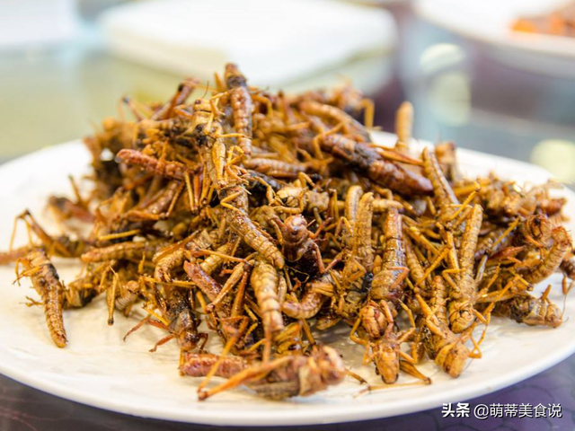 油炸蚂蚱，蚂蚱怎么做好吃（让其变成餐桌上的美食）