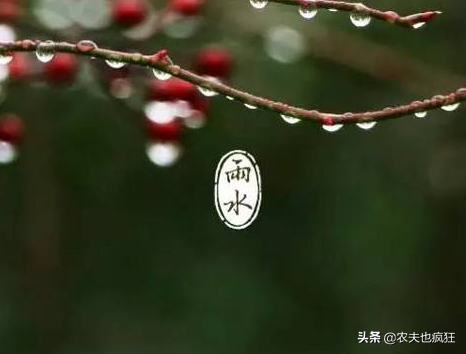 雨水的含义是什么意思 雨水节气是什么意思，雨水的含义是什么意思（“雨水”是下雨的意思吗）