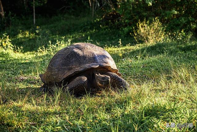 厄瓜多尔在哪里，厄尔多瓜具体在哪里（走进厄瓜多尔——世界上唯一以“赤道”命名的国家）