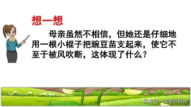 才华横溢的近义词，形容聪明才华横溢的成语有哪些（部编四年级上第5课《一个豆荚里的五粒豆》重点知识+课文讲解）