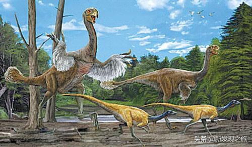 原核生物有哪些，高中生物原核生物有哪些（从原核生命到人类文明）