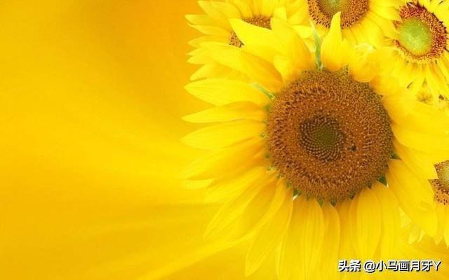 迨怎么读什么意思，谁能告诉我这些字怎么读?