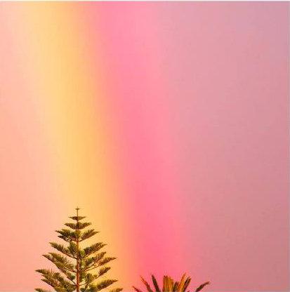 粉色头像微信，粉色头像（粉色朦胧少女心的好看头像）