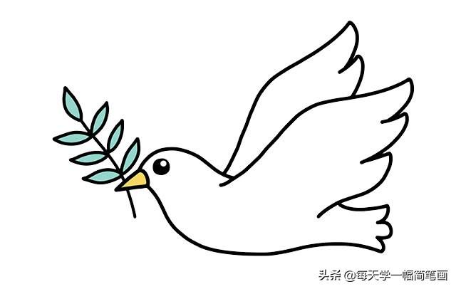 和平鸽的画法橄榄枝图片