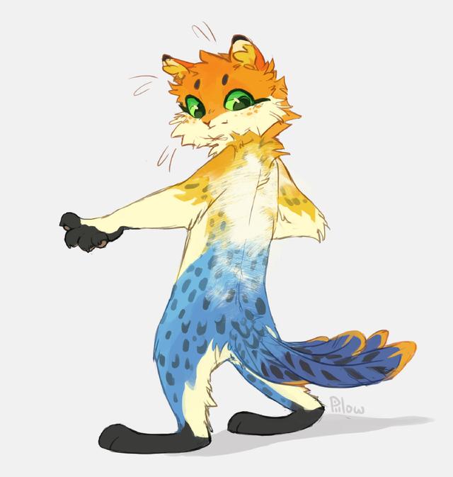 猫咪头像微信，猫咪头像（哪只像你的小可爱）