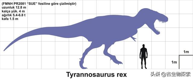 triceratops，triceratops是什么恐龙（三角龙能反杀霸王龙）