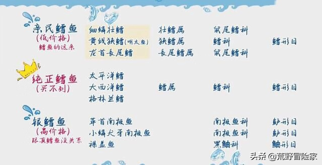 为什么北极的鳕鱼冻不死，鳕鱼只有冷冻的吗（大西洋鳕鱼与普通鳕鱼根本不是一回事）