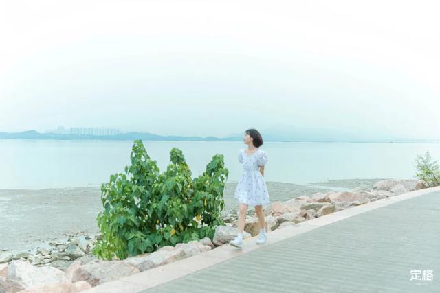 深圳哪里好玩又便宜，深圳哪里好玩又便宜的地方（《11月深圳打卡指南》来了）