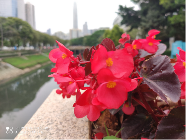 苹果手机屏幕忽明忽暗是怎么回事，为什么我的苹果屏幕忽明忽暗（红米K30使用体验汇总）