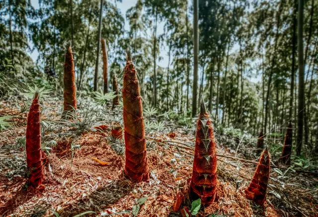 湖州市的湖叫什么，湖州市的湖叫什么 新闻（中间还有一个最美的湖州）