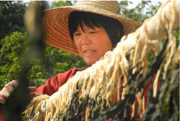 怀集县特产介绍，怀集的干货特产