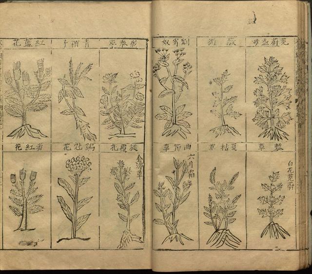 本草纲目全书带图，李时珍本草纲目全书（李时珍著《本草纲目》附图卷）