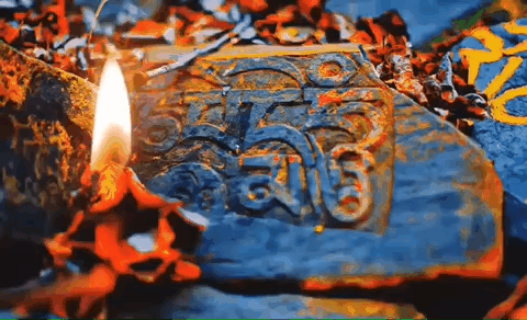 土拔鼠是什么意思，地鼠是鼠类吗（藏族人和老鼠的不解情缘）