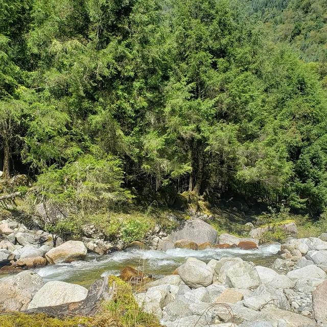 成都市区必去一日游，成都市区一日游最佳攻略（推荐9个成都周边1日游好去处）
