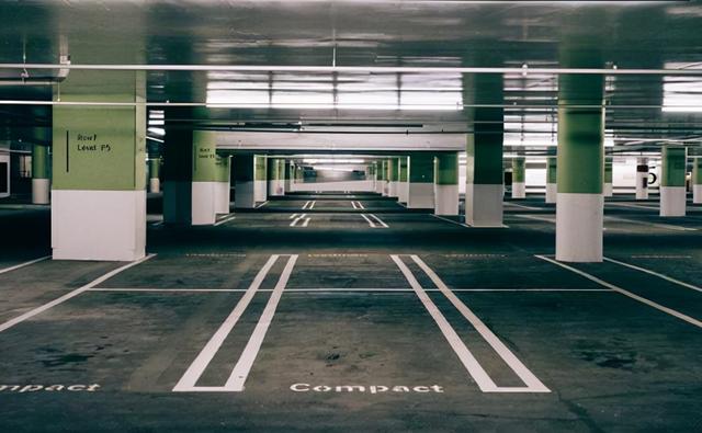 恐龙时代的跳蚤有多大，恐龙的时代有几个纪（1.5亿年前曾在恐龙身上吸血）