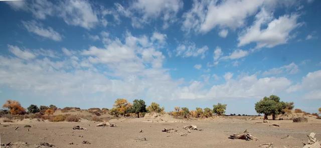 呼和浩特是几线城市，呼和浩特是几线城市2022（内蒙古城市排名来了）