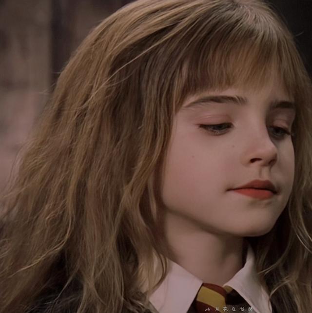 赫敏·格兰杰小天使［哈利.波特］，哈利波特女主角赫敏格兰杰（小赫敏感觉毛茸茸的图片）