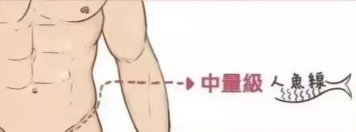 什么是人鱼线，什么是马甲线（人鱼线的四种等级，请对号入座）