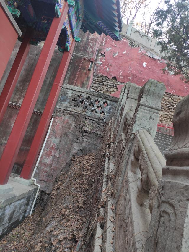 戒台寺与潭柘寺区别，戒台寺与潭柘寺区别是什么（戒台寺一日游）