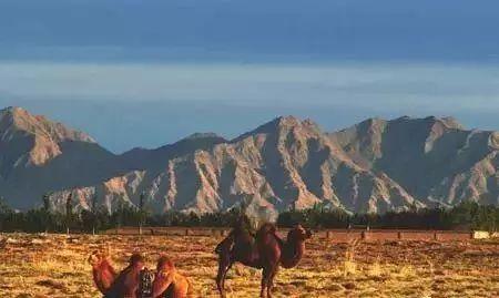 台湾碧玉值钱吗，台湾碧玉有收藏价值吗（世界上最昂贵的观赏石之一）