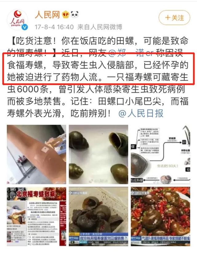 田螺吃哪个部位示范图，田螺的吃法吃那个部位（可能会感染中枢神经）