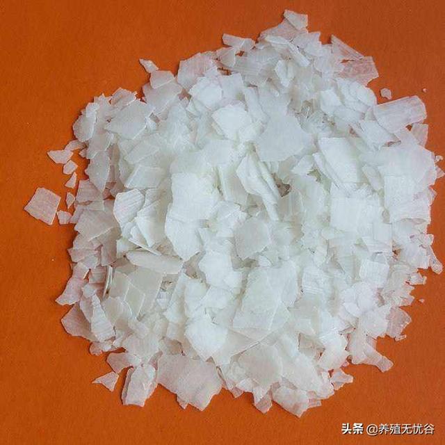 烧碱怎么使用，烧碱去油污怎么使用（火碱消毒注意事项，建议收藏）
