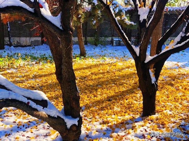 情侣唯美雪景图片，情侣唯美雪景图片真实（冬日初雪印象：一半冬雪）